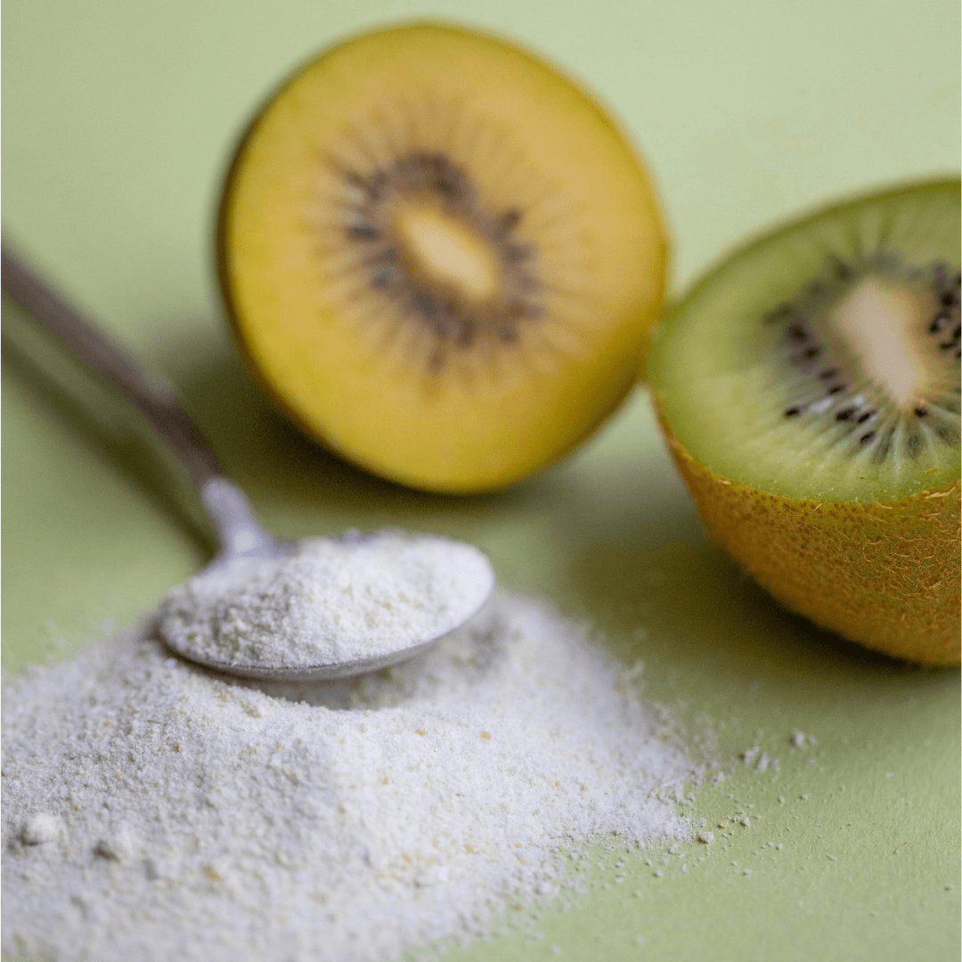 Probiotic Plus Prebiotic - 350g Supplement Powders The Healthy Chef