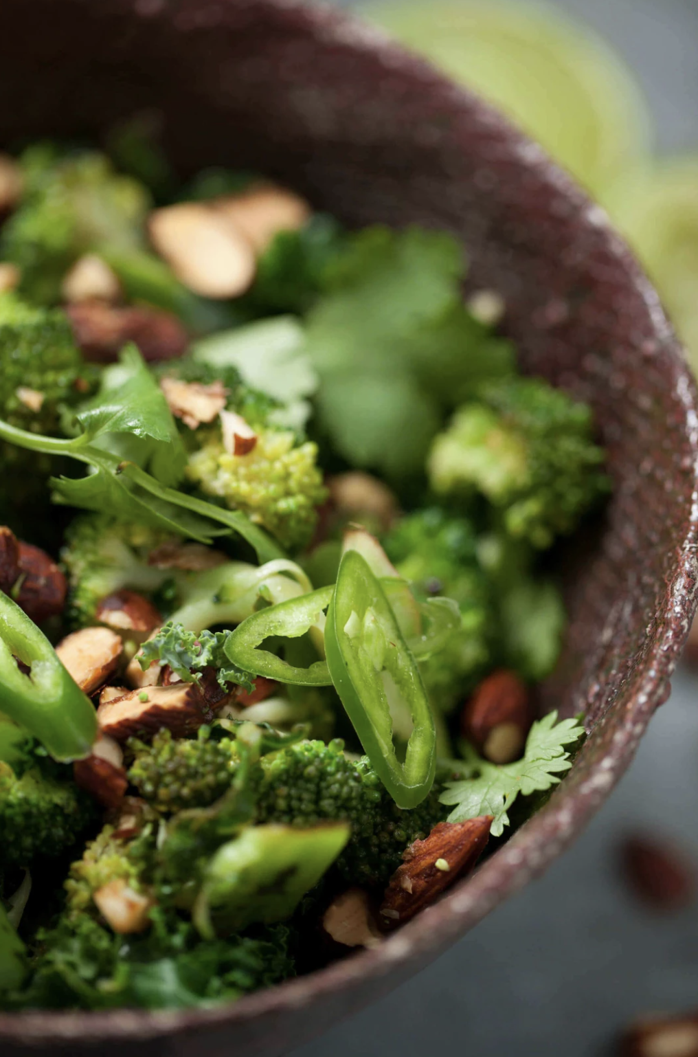 Purely Delicious Cookbook Books and Apps The Healthy Chef