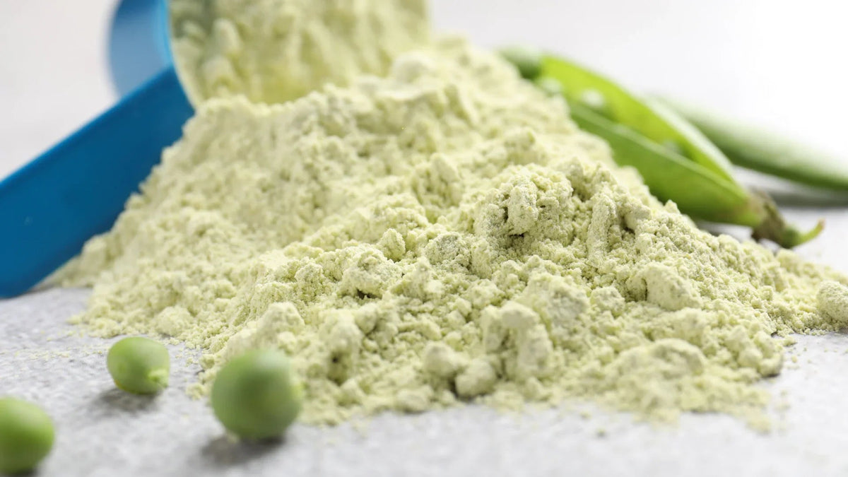 Types of Pea Protein: Isolate, Sprouted, Fermented and Organic