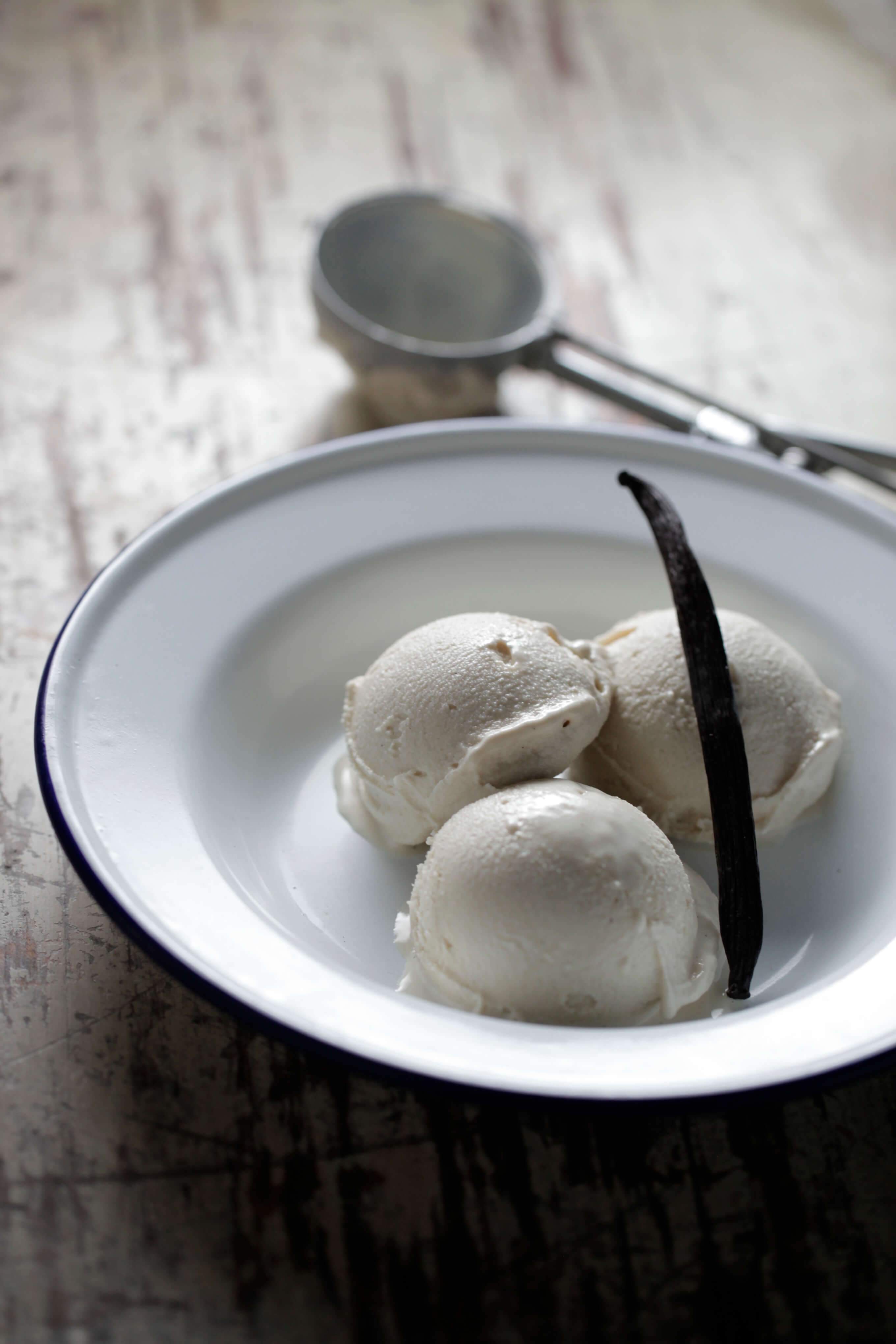 Vanilla Bean Gelato
