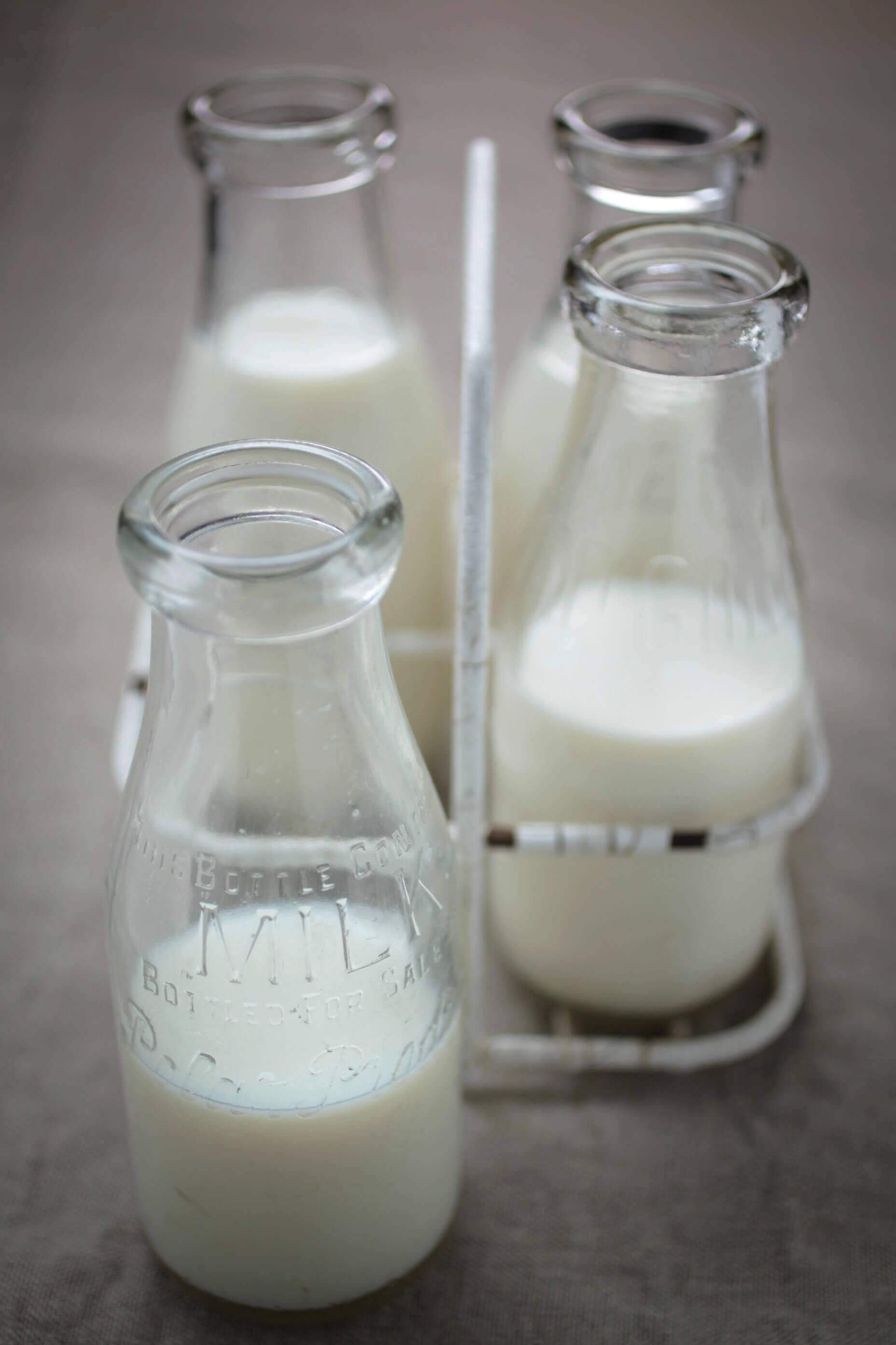 Why Native Whey Protein Isolate is better than Protein Concentrate