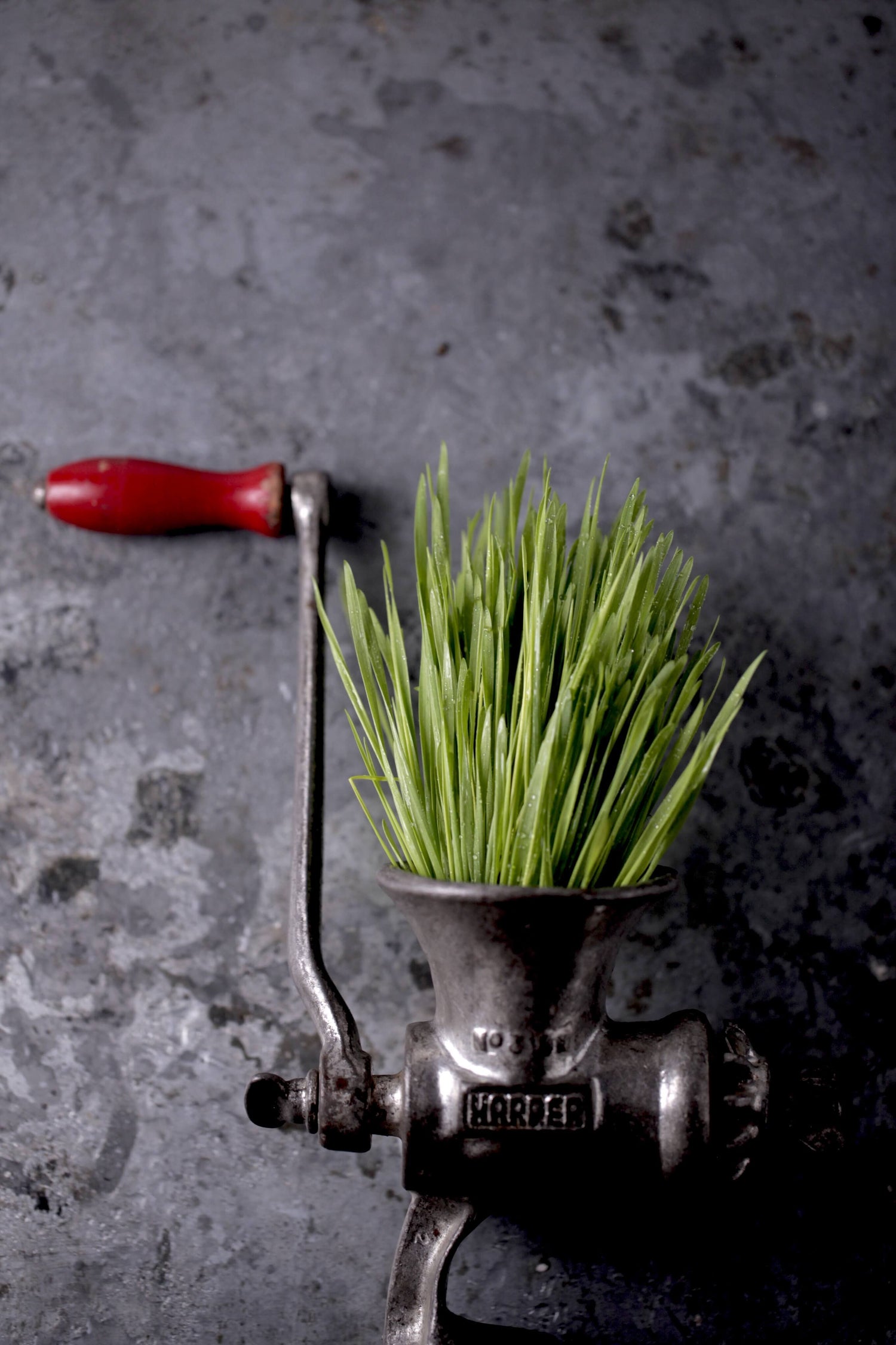 My Anti-Ageing Protocol + My Beauty Boosting Smoothie