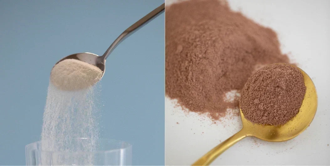 Collagen vs Whey: Which Protein Is Best For Your Needs?