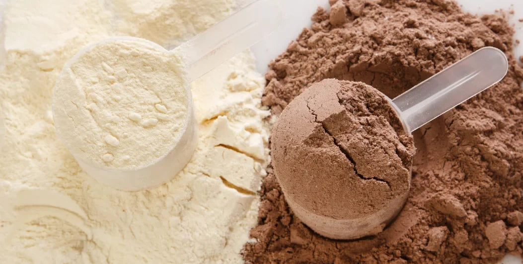 Lactose Free Protein Shakes and Meal Replacements: What to Look For
