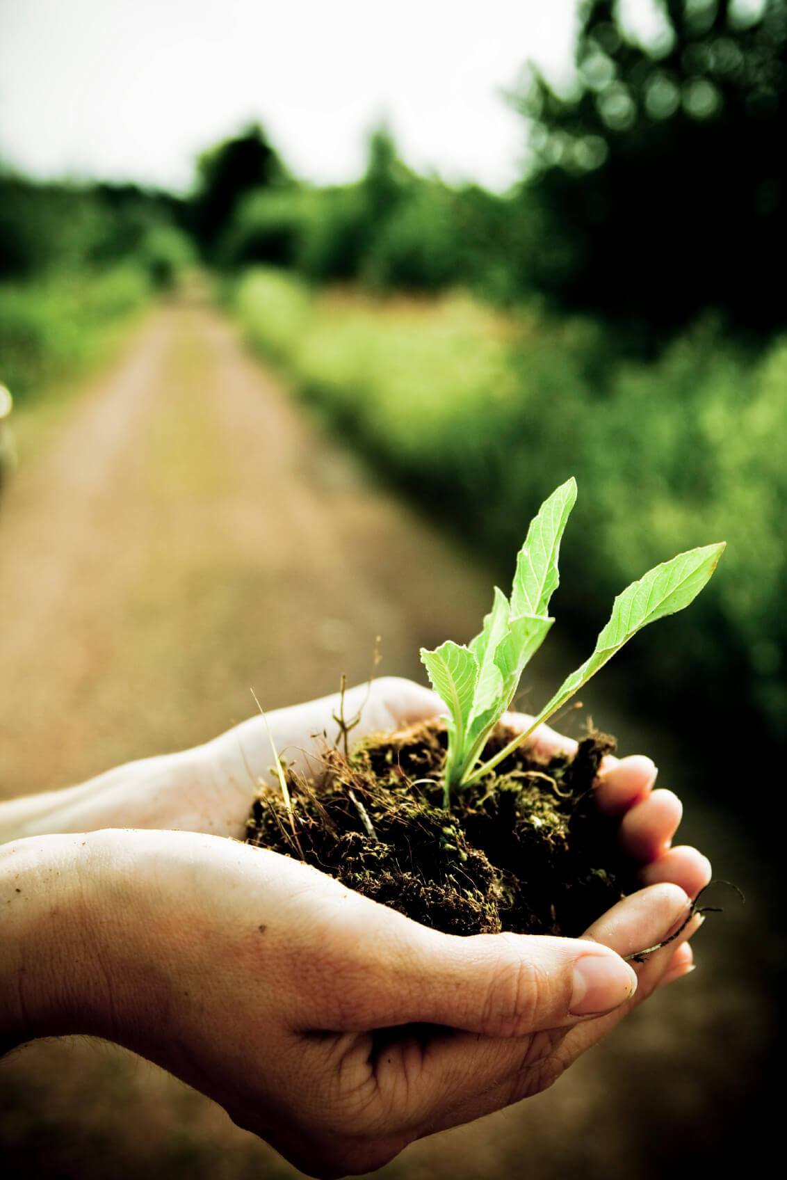 The Healthy Chef Proudly Supports Australian Certified Organic