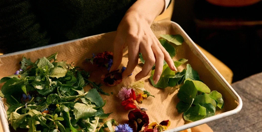 Step Into Spring: 5 Small Habits for a Healthier You This Season