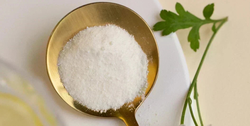 Which Healthy Chef Collagen Is Right for You?