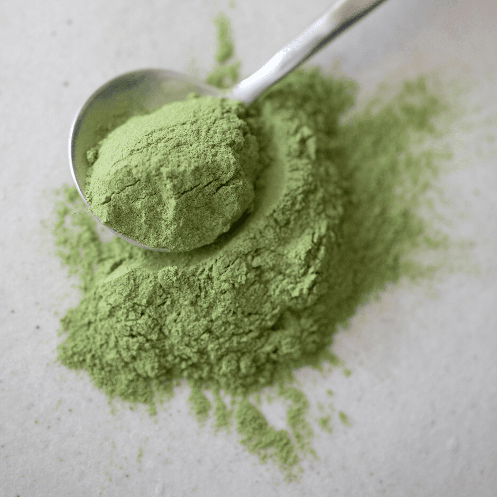 Everyday Greens - 260g Supplement Powders The Healthy Chef 