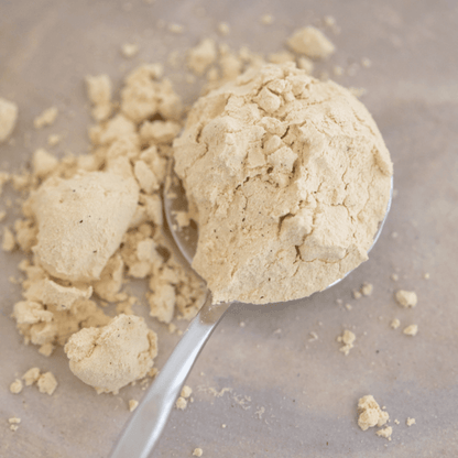 Organic Pea Protein Vanilla Supplement Powders The Healthy Chef 