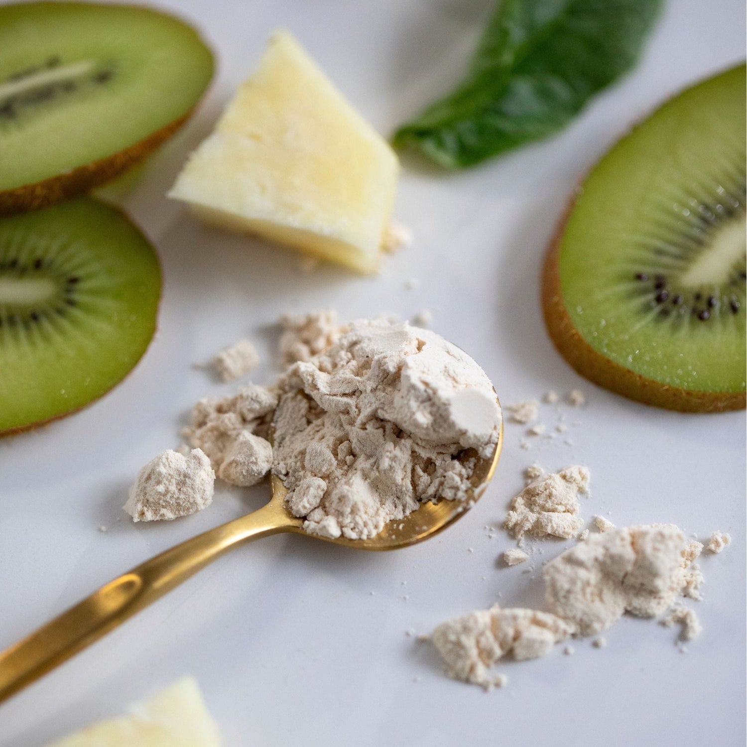 Organic Pea Protein Natural Supplement Powders The Healthy Chef 